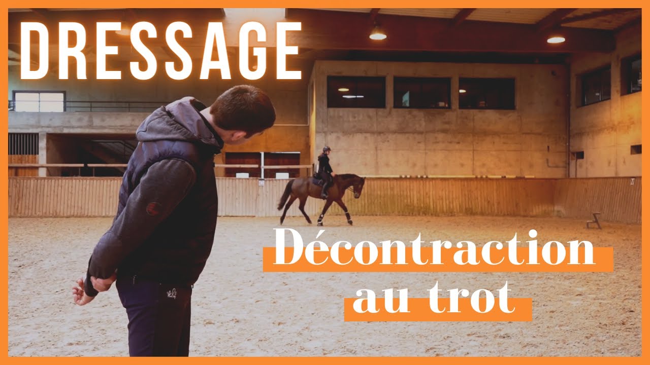 Dressage : obtenir plus de décontraction au trot