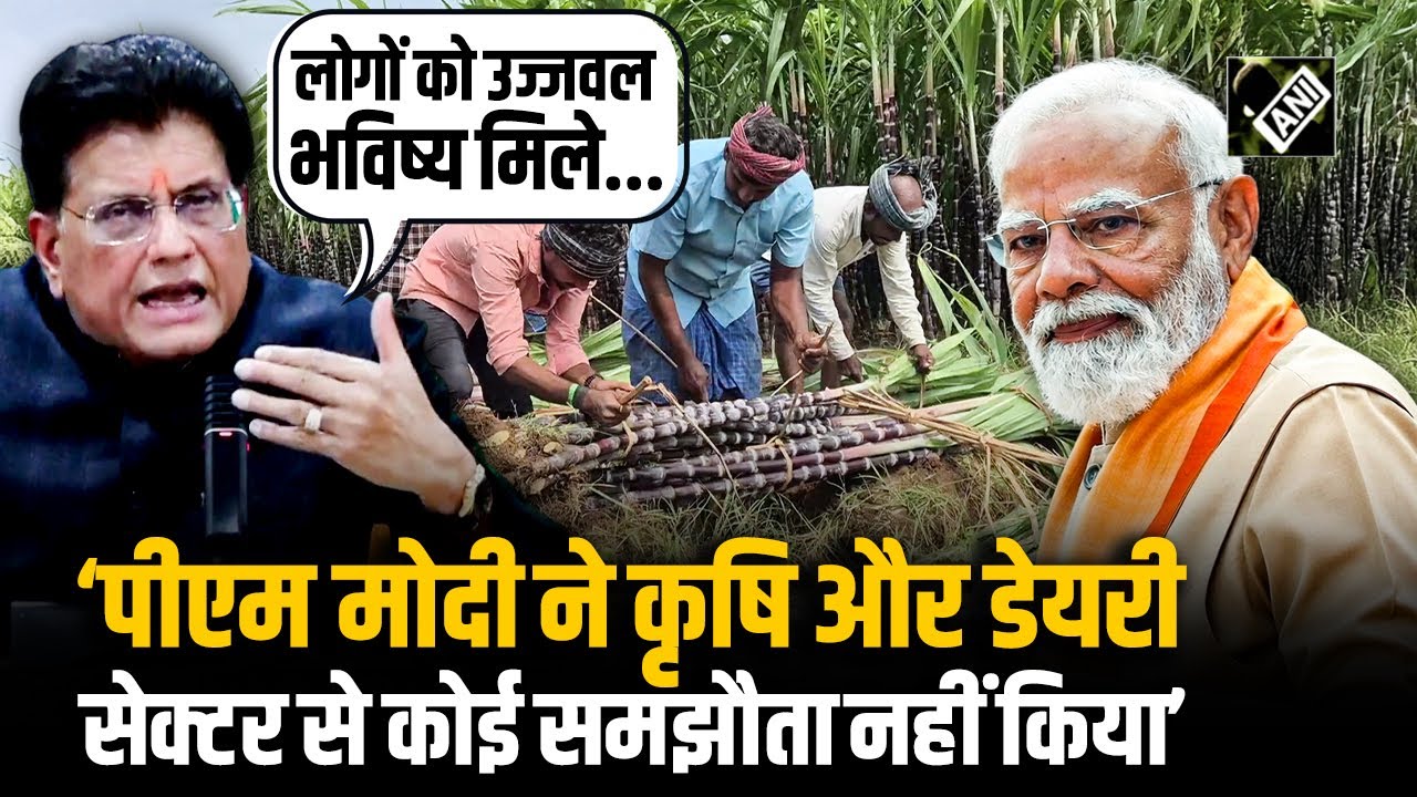 ‘Agriculture and Dairy Sector से समझौता नहीं...', India-US Trade Deal पर क्या बोले Piyush Goyal?
