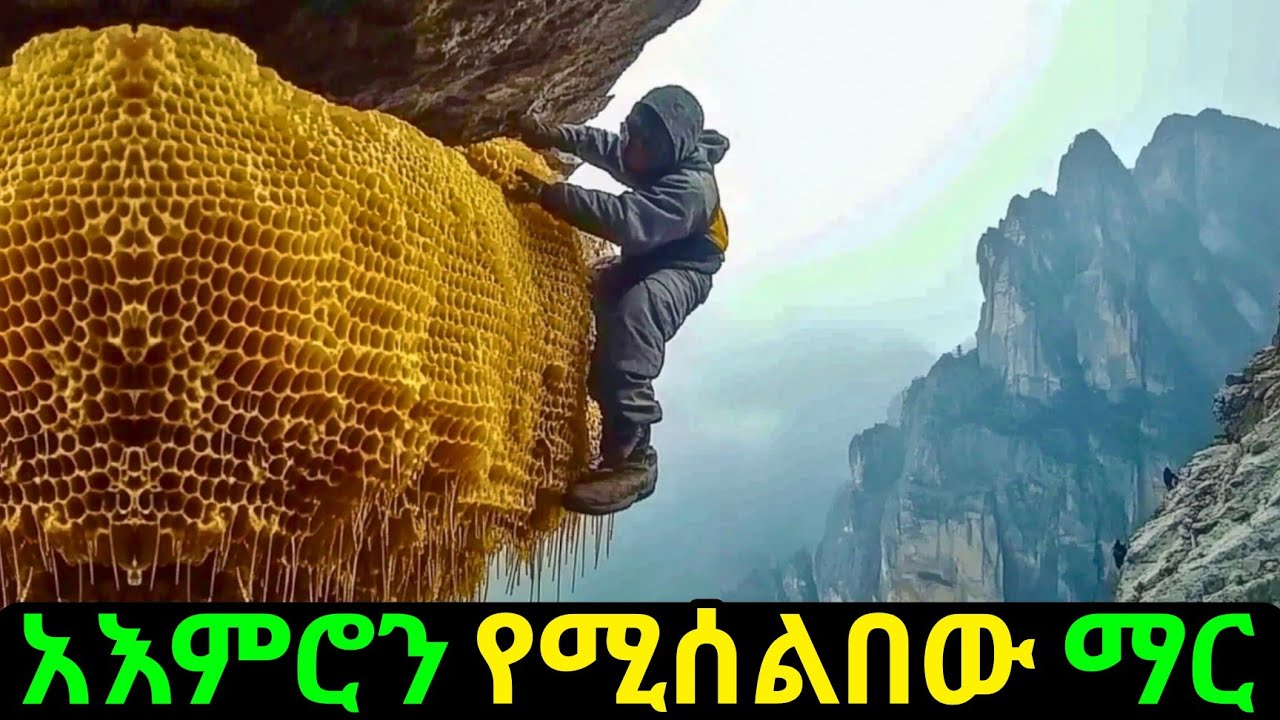 ከወርቅ በማይተናነስ ዋጋ የሚሸጠው የአለማችን ውዱ ማር 