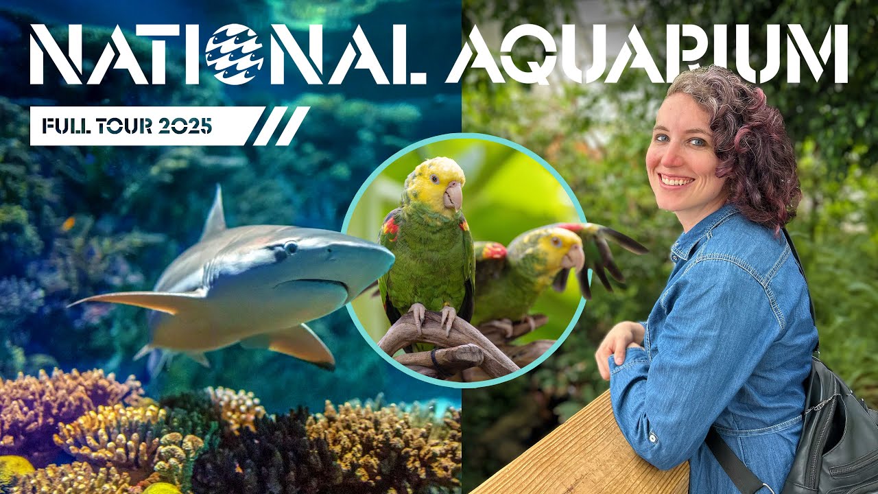 VLOG: National Aquarium in Baltimore, MD 2025 | COMPLETE TOUR and Review with Walkthrough & Tips!