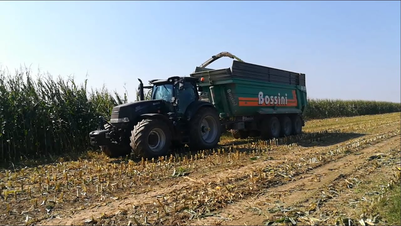Primo INSILATO MAIS 2023 | Claas jaguar 870, Claas & Case Ih