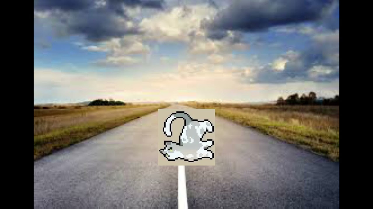 tragic events today | @Moonkitti @Sunnyfall