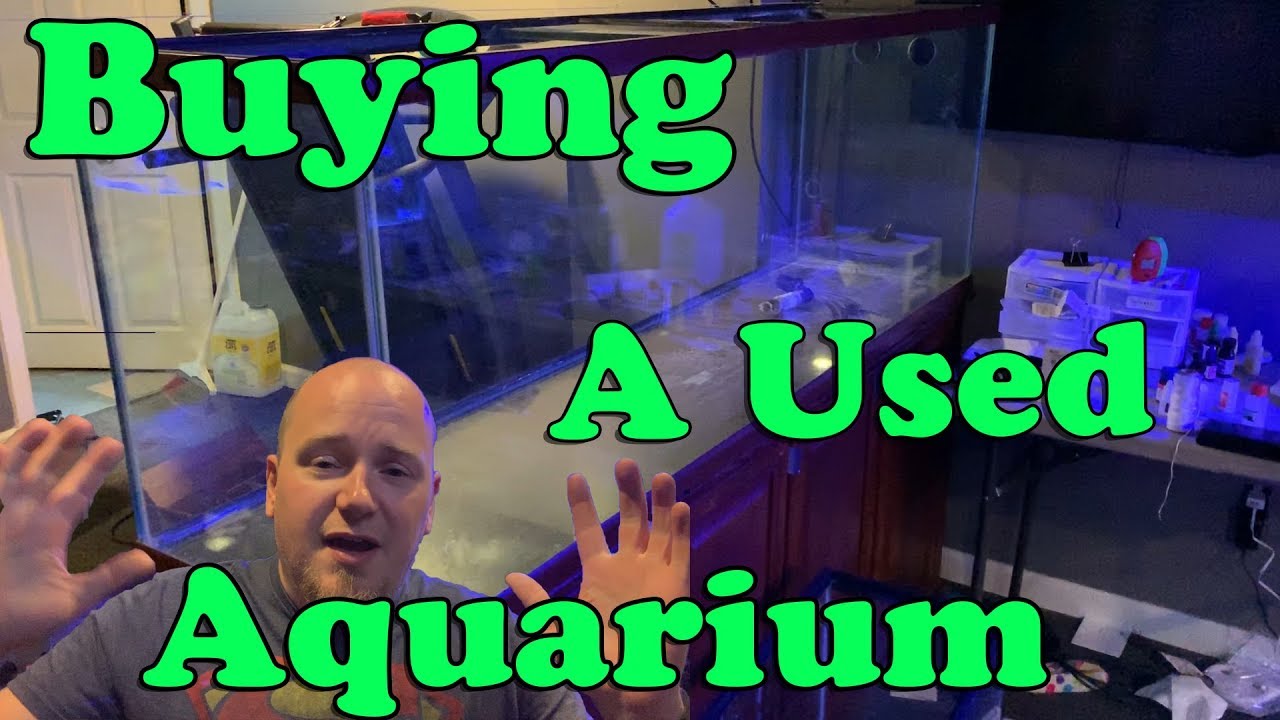Buying a used Aquarium - 3 tips to find a good deal