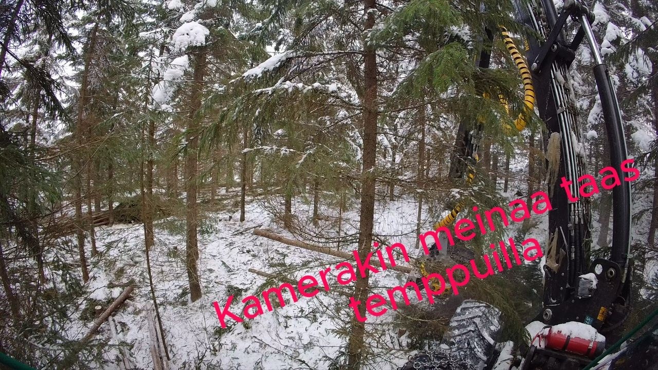 Hyvää penkka harvennusta Prosilva S3 & kesla 19
