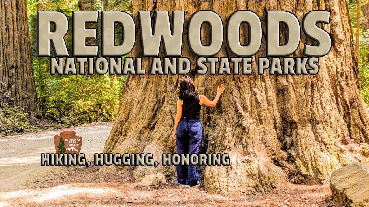 CALIFORNIA COASTAL REDWOODS / National and State Parks, Tolowa, Yurok, Road Trip