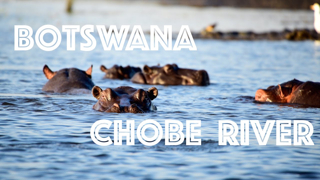 Chobe River Botswana - Chobe National Park