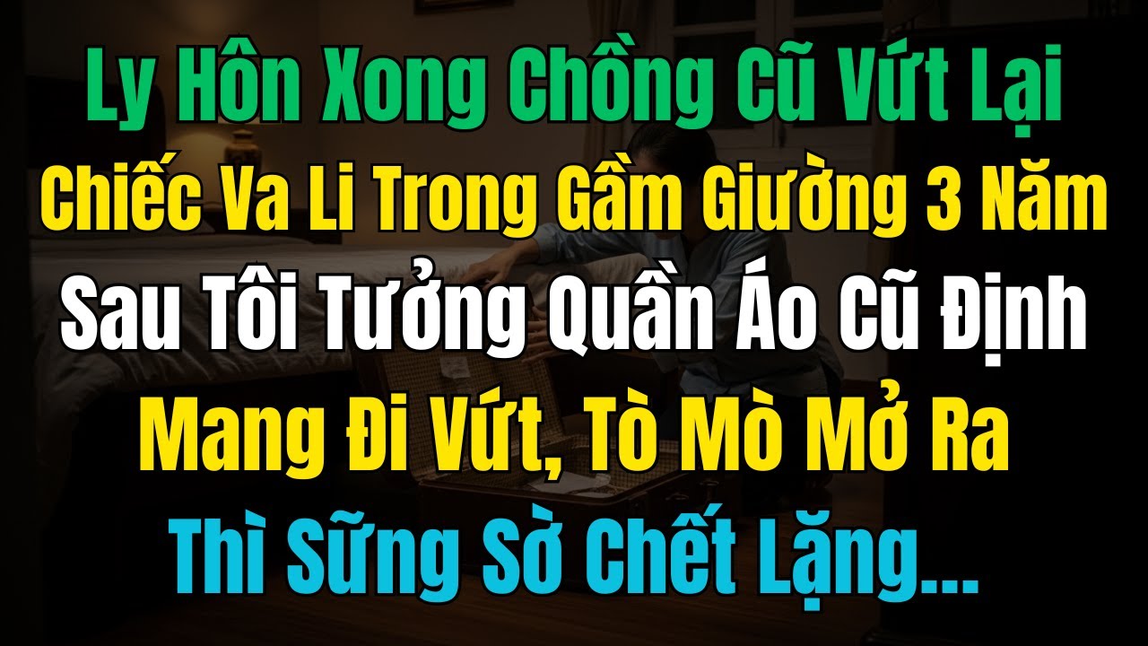 Ly Hôn Xong Chồng Cũ Vứt Lại Chiếc Va Li Trong Gầm Giường 3 Năm Sau Tôi Tưởng Quần Áo Cũ Định Mang