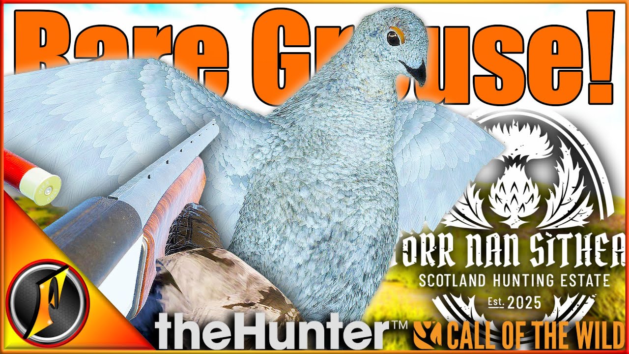 We Got a LEUCISTIC Red Grouse on Scotland! | theHunter Call of the Wild
