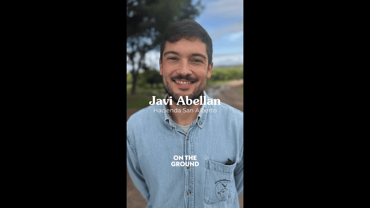 On the ground with Javi from Hacienda San Alberto, Spain