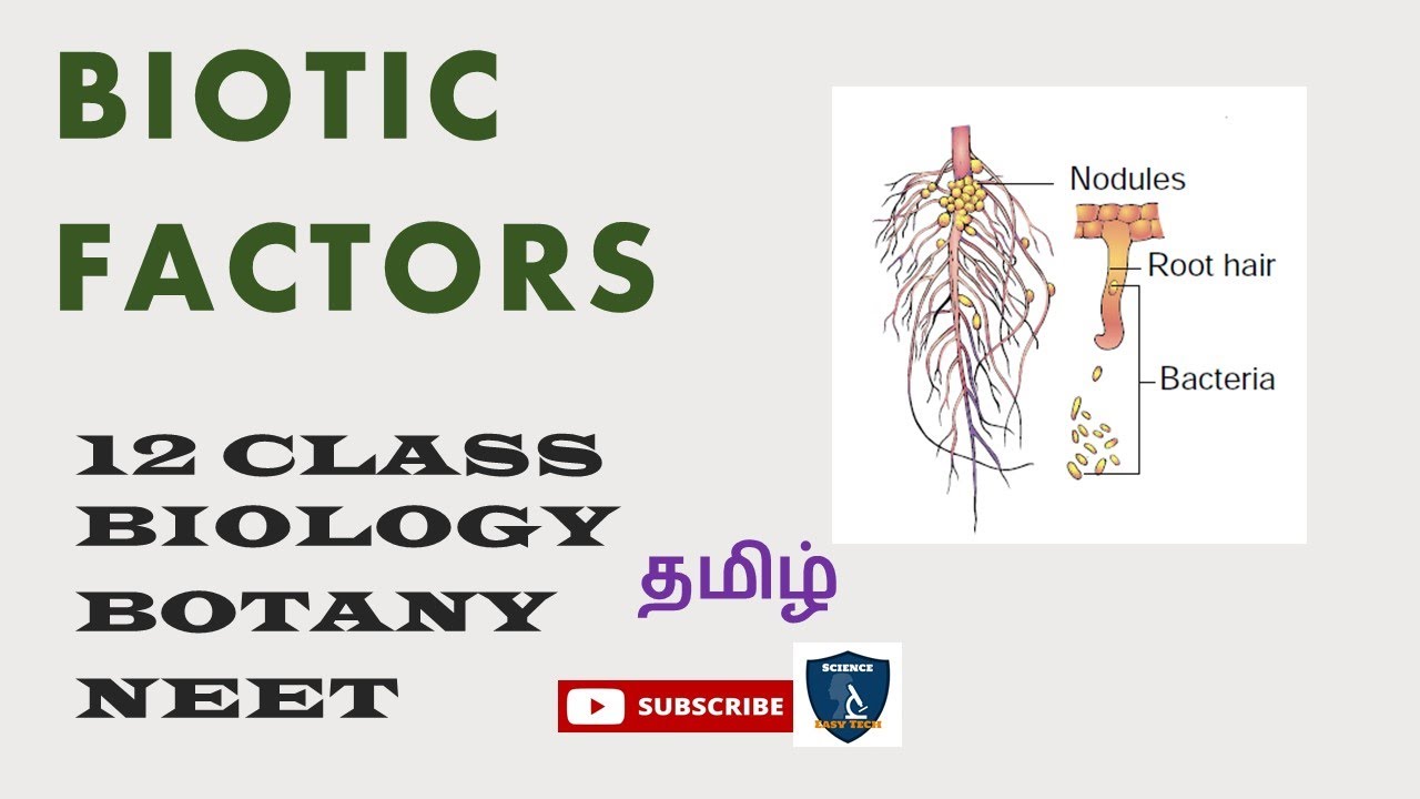 Biotic Factors in Tamil I Principles of Ecology I Botany I Class 12 | TNSCERT/CBSE | NEET
