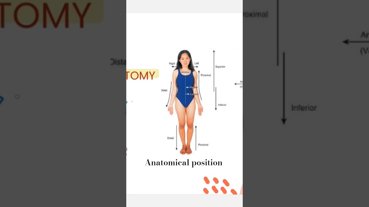 general anatomy Anatomical position #generalanatomy #mbbs