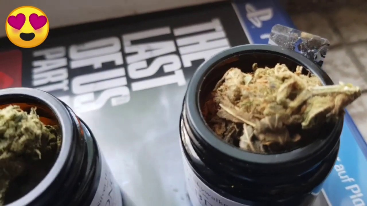 CBDNOL CBD BL&Uuml;TEN TEST LEGALES GRAS CANNABIS CBD ZUM RAUCHEN