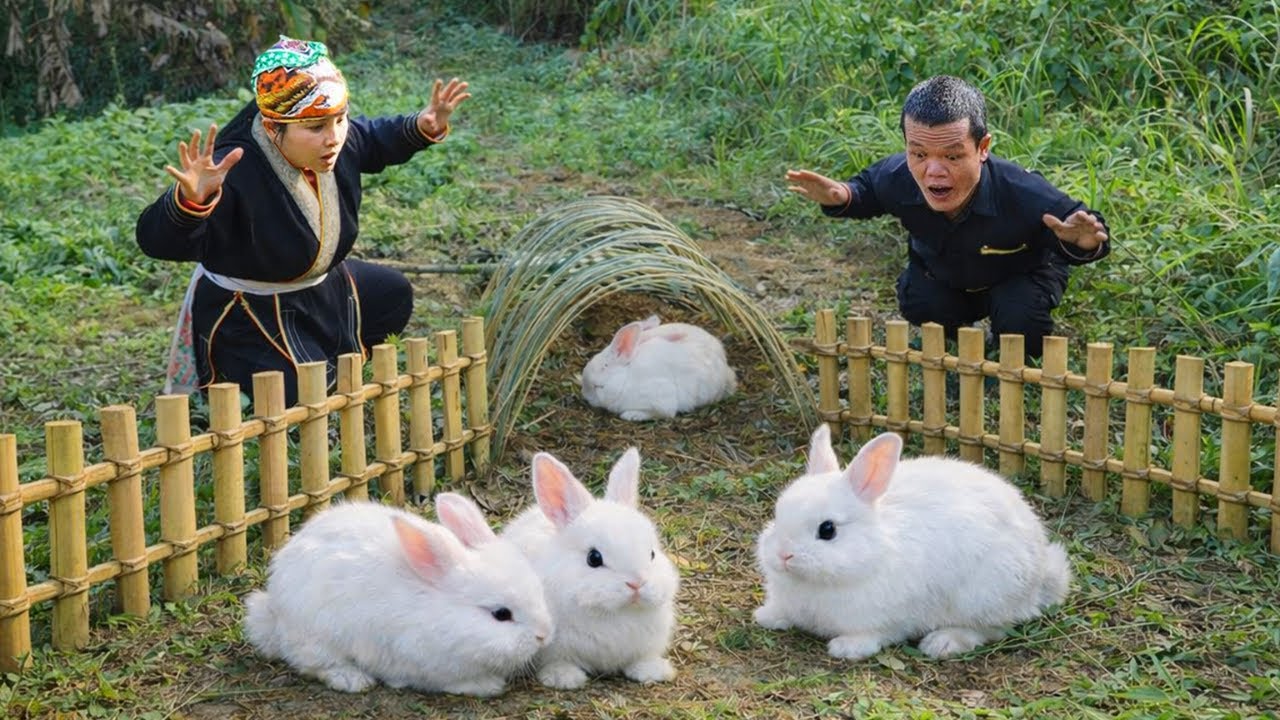 Dwarf Family Primitive Survival : Rabbit Traps & Turnip Harvest in the Wild