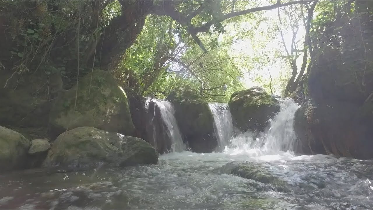 2000 truchas en el Río Majaceite