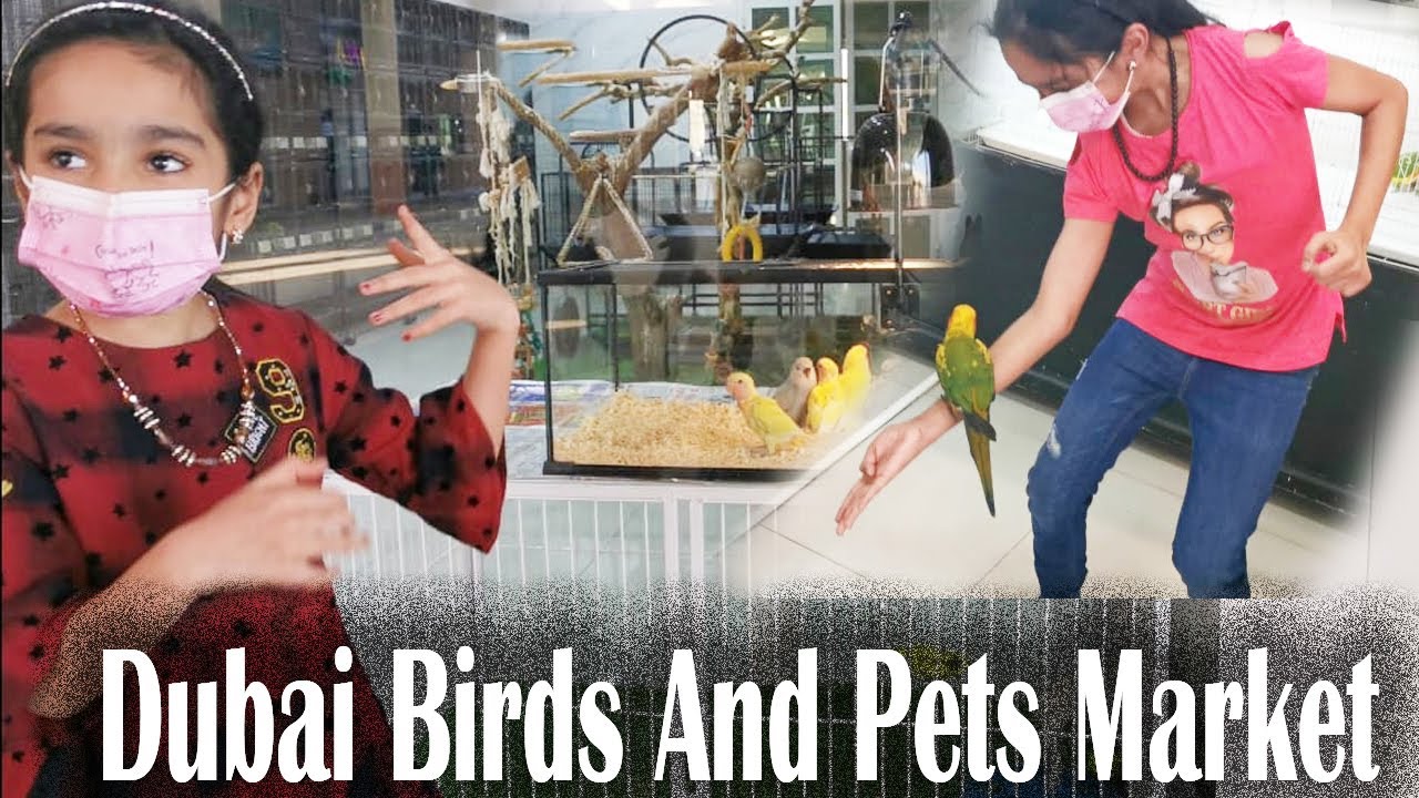 Birds And Pets Market Dubai||Dubai Birds And Pets Market Al Warsan||Kids Travel Vlog||