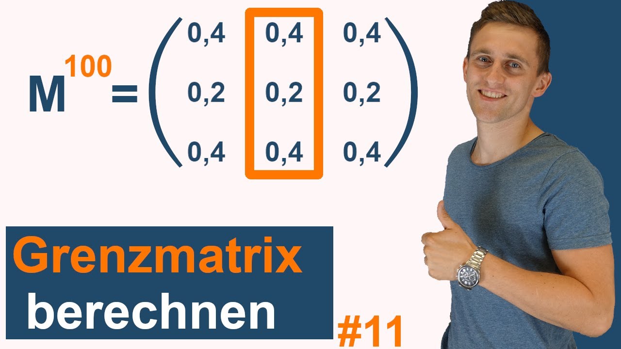 Austauschprozesse - Grenzmatrix erkennen und berechnen | Erklärung und Interpretation | #11