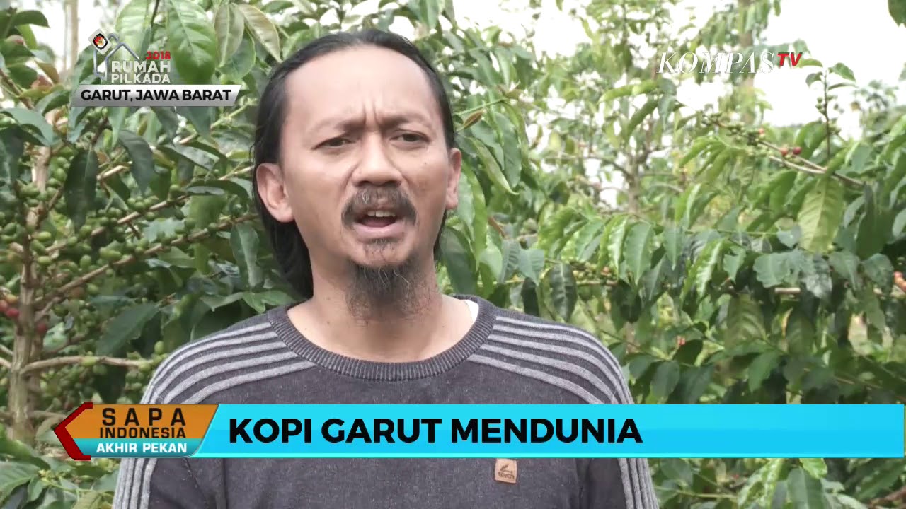 Kopi Arabika Garut Memiliki Cita Rasa Tinggi