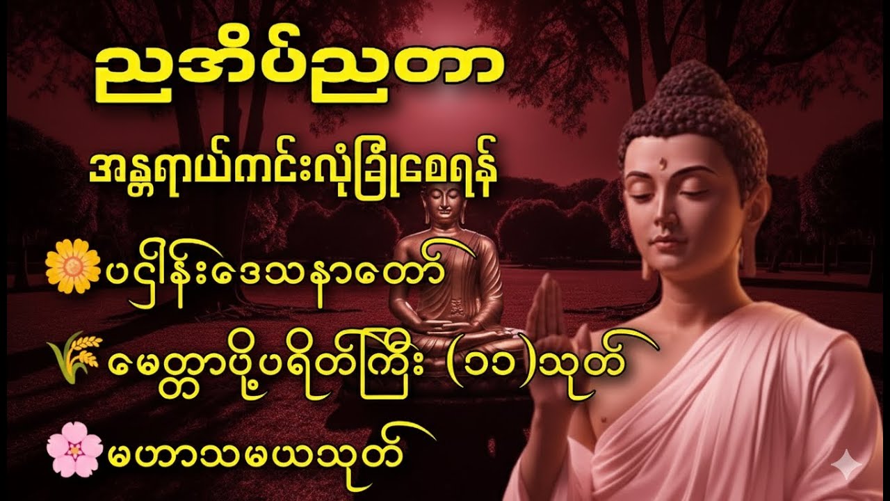 ☘️🌍ညစဥ်ဖွင့်ထား၍ အိပ်စက်အနားယူပါ ပဋ္ဌာန်း နှင့် မေတ္တာပို့ - ဘေးအန္တရာယ်ကင်းစေသောတ‌ရားတော်များ🙏🙏🙏
