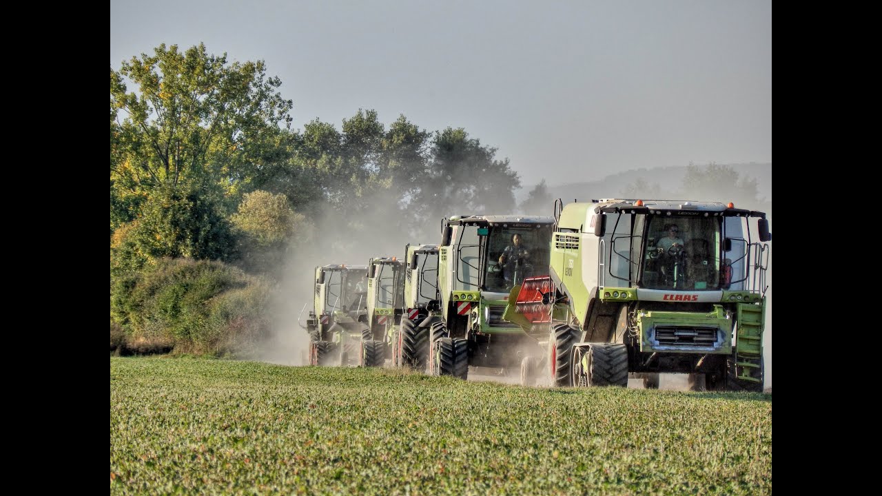 6x CLAAS Lexion & Case IH 9250 - Sója / Soybeans / Koszenie soi