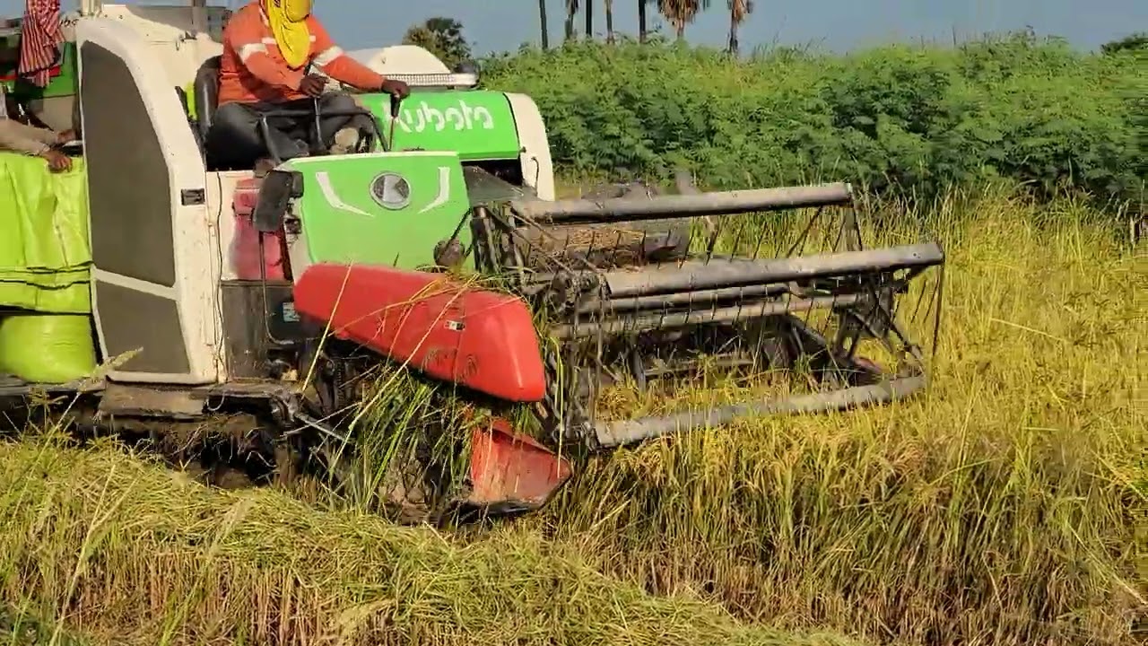 dailylife with kubota#viralvideo #farming #automobile #daily #vietnam #indonesia #india #indian 