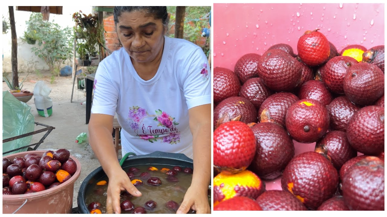 FOMOS COLHER BURITI E ENTREGAMOS A IRMÃ TÂNIA PARA COLOCAR DE MOLHO.  MARANHÃO / PIAUI.