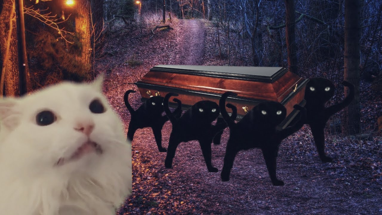 Astronomia - Coffin Dance Meme - Cat Cover #2