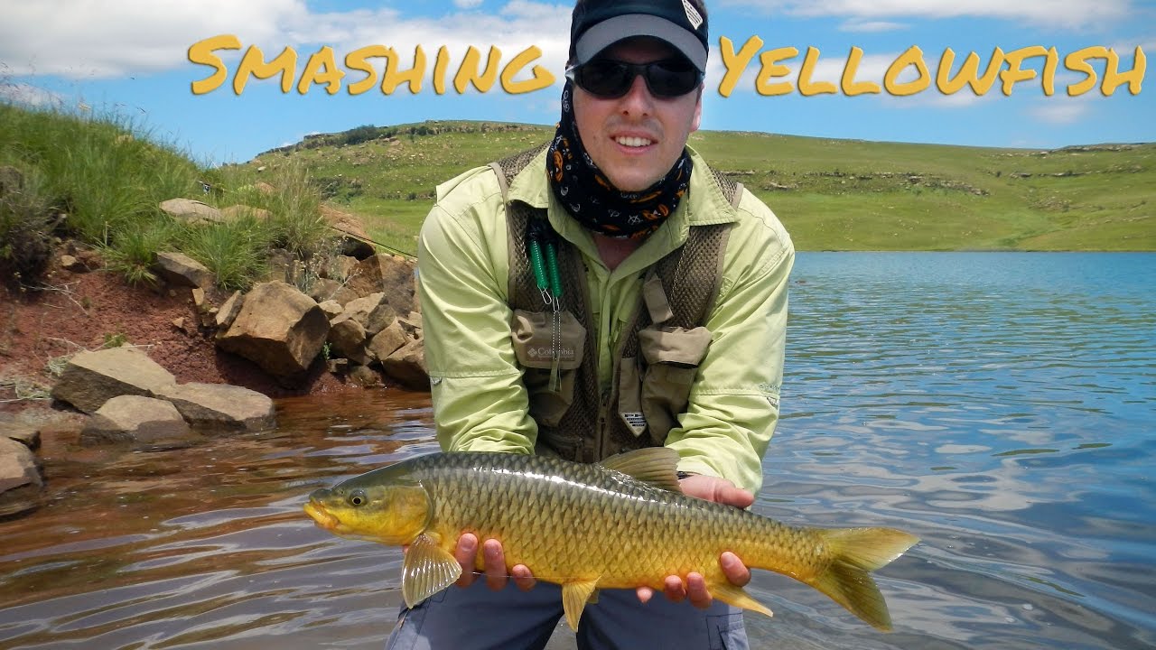 A Sterkies Fly Fishing Adventure  - Smashing Yellowfish and Beer