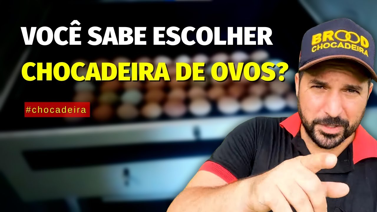 🐣 Como escolher uma BOA CHOCADEIRA? Como ter mais ECLOSÃO com a CHOCADEIRA sem GASTAR muito