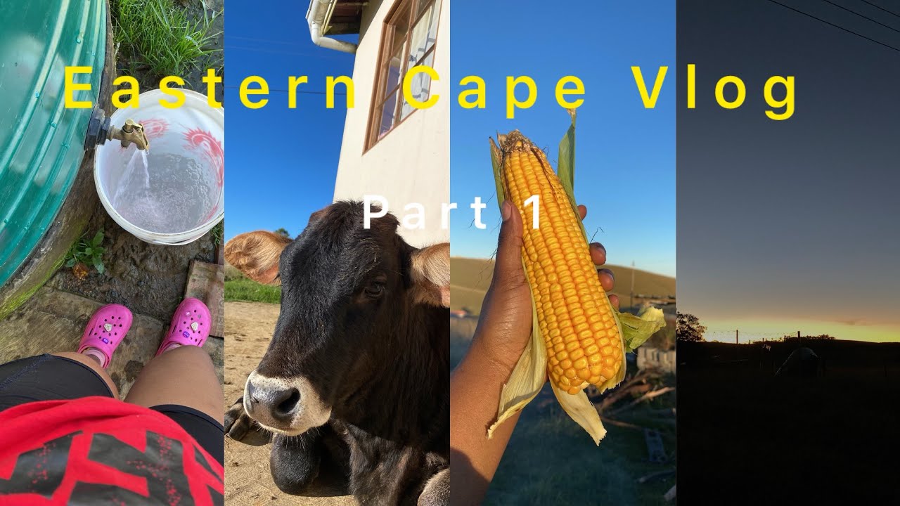 Eastern Cape Vlog Pt1: Chores | Let’s Make Isonka | Life Ezilalini & More.