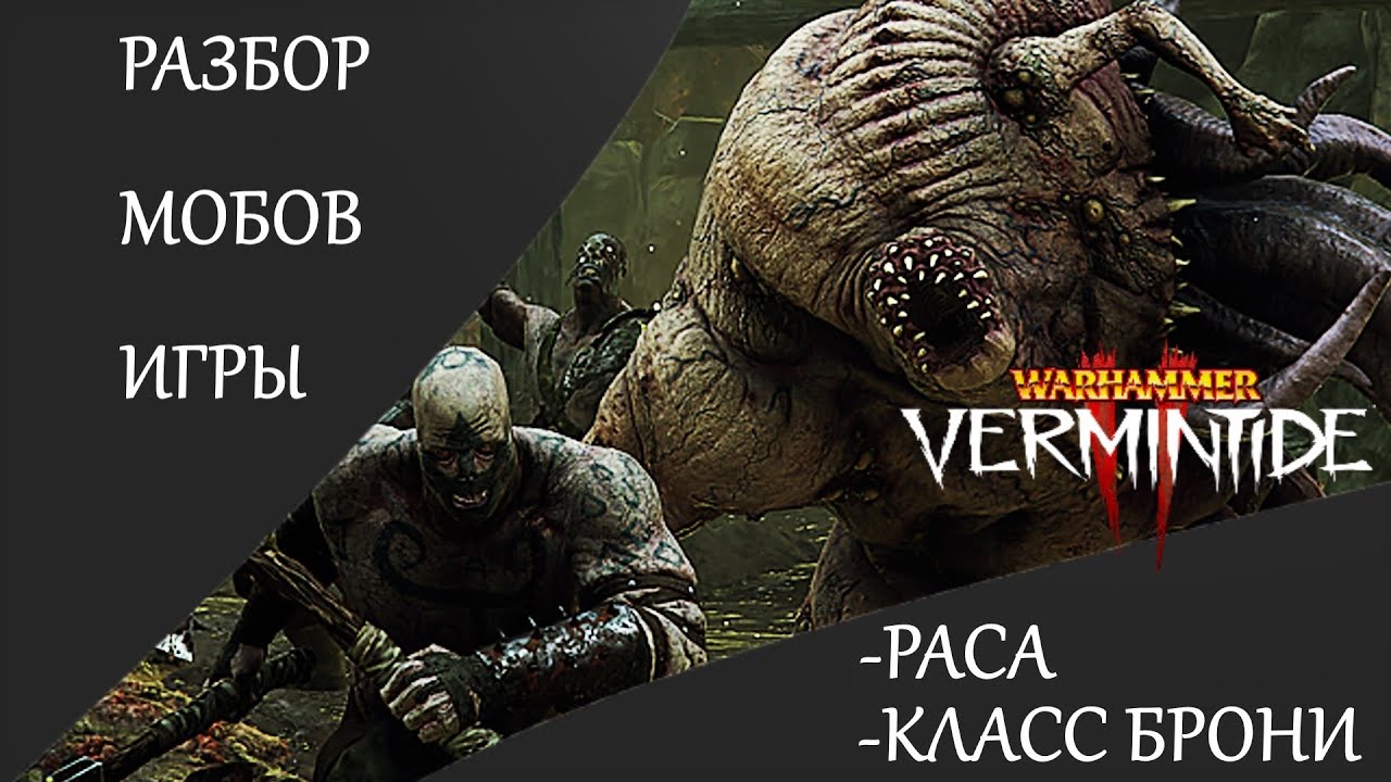 Warhammer: Vermintide 2 ►Что из себя представляют мобы этой игры ► Разбор Расы и Класса брони
