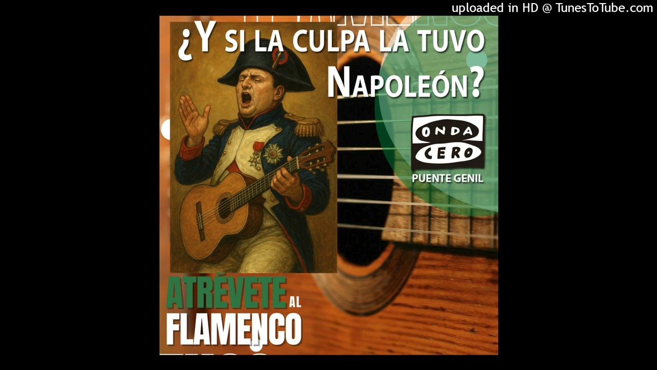 ¿Y SI LA CULPA LA TUVO NAPOLEÓN?