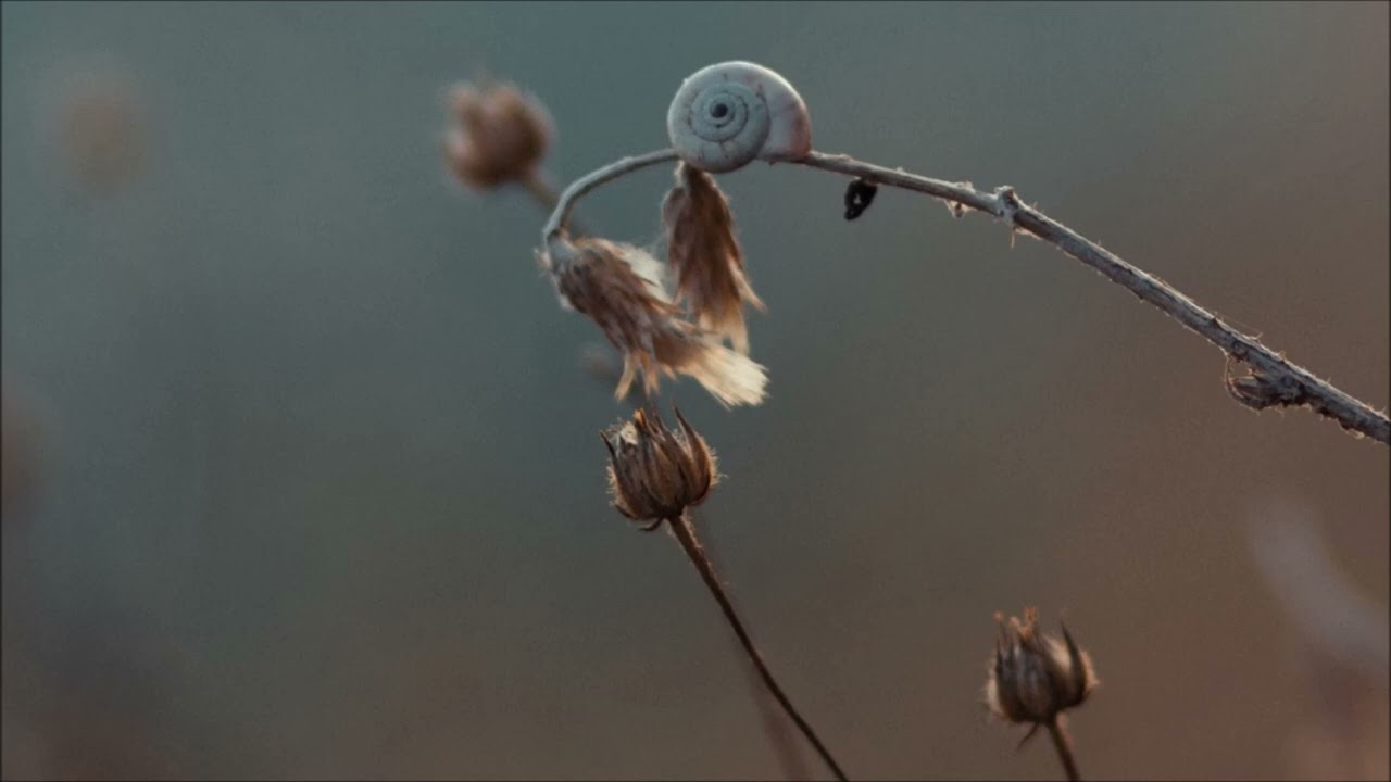 Soft Tones | Music for Games