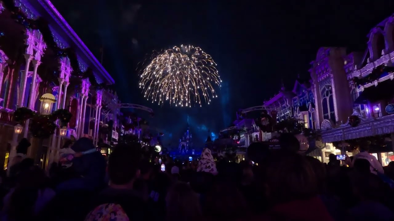 Happily Ever After Fireworks-Disney's Magic Kingdom-November 30, 2024.  4K