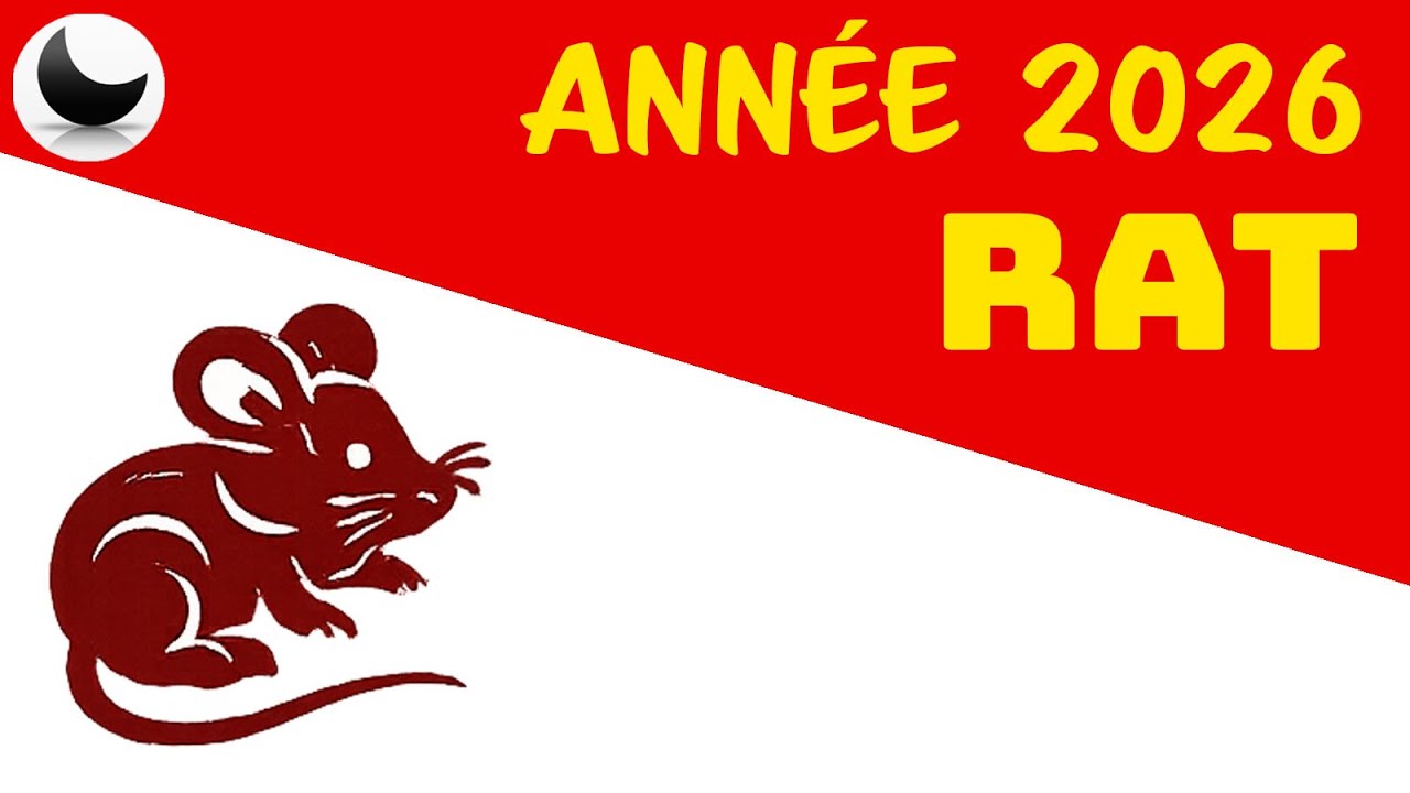 🐀 Rat – Une année karmique et décisive 🇨🇳 Horoscope chinois 2026