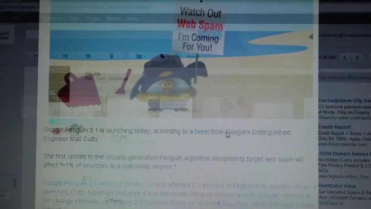 Google Penguin 2.1 Penalty Recovery Services & Solutions by Experts