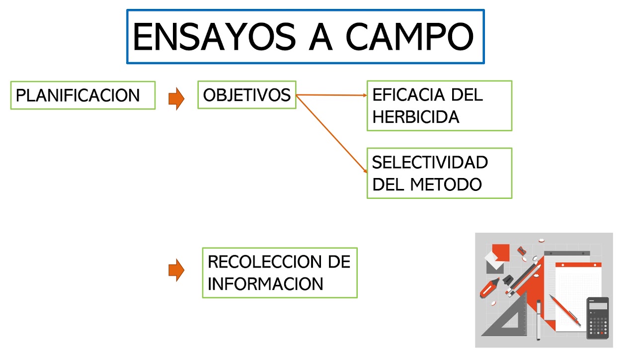 Experimentación con herbicidas
