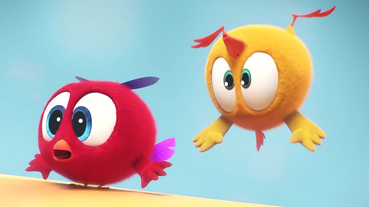 Who Bounces Higher? | Where's Chicky? | Cartoon Collection in English for Kids | New episodes