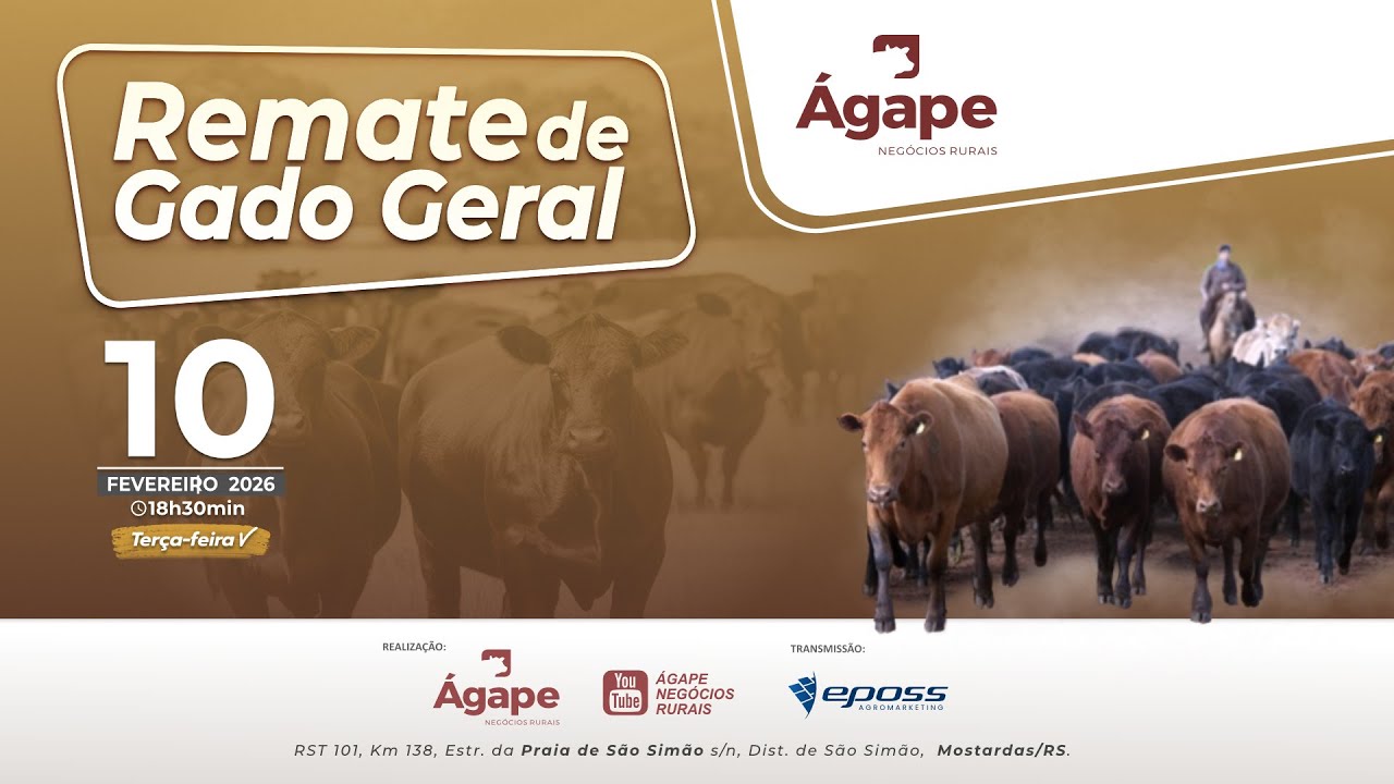 Remate de Gado Geral - 10 de Fevereiro - Mostardas/RS