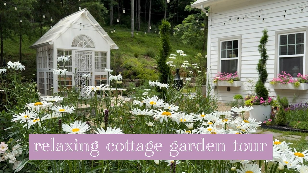 Relaxing Cottage Garden Walk. Tour my Cottage Garden Mid June 2025.
