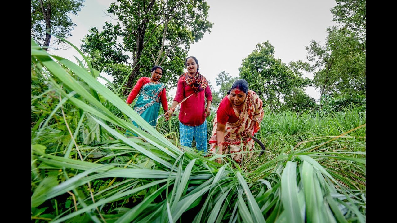 Rights shaping landscapes and livelihoods in Nepal