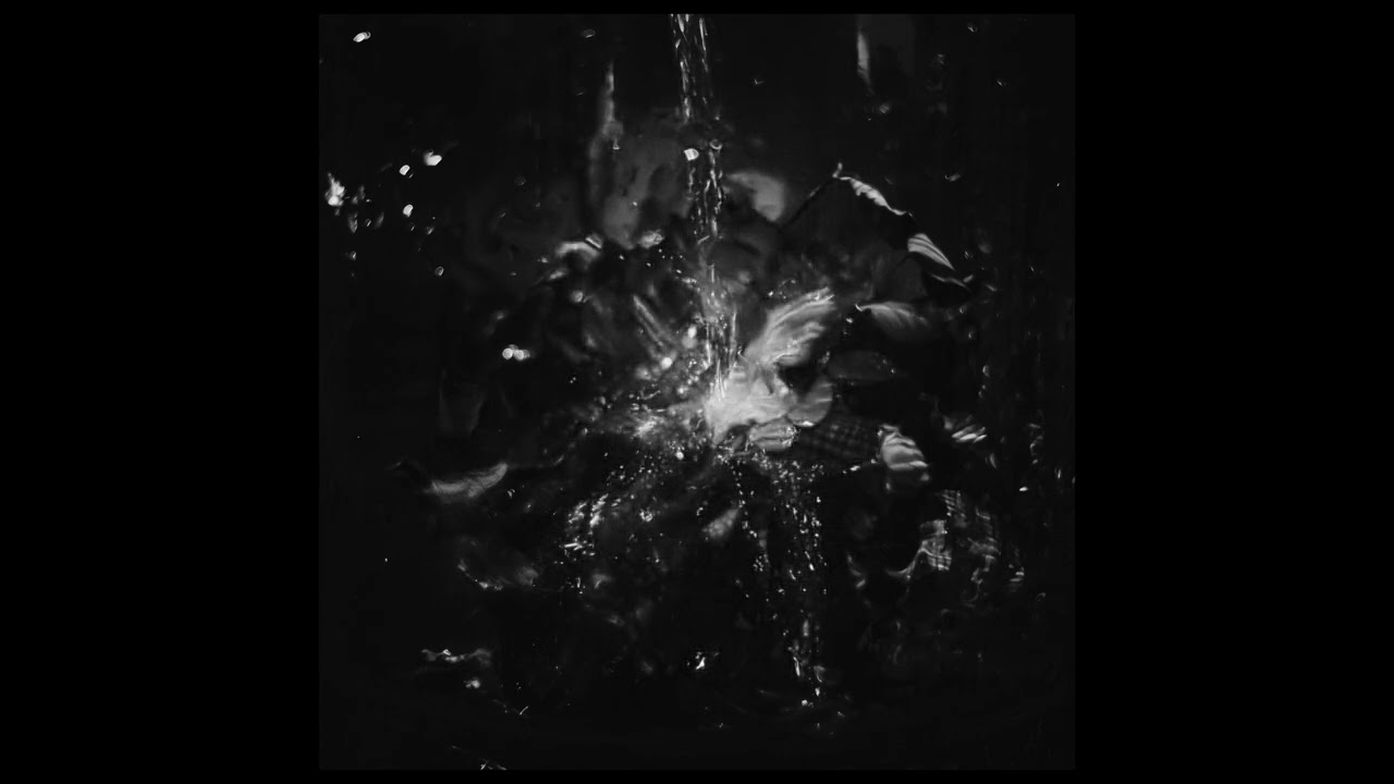 Wings Denied - Traces
