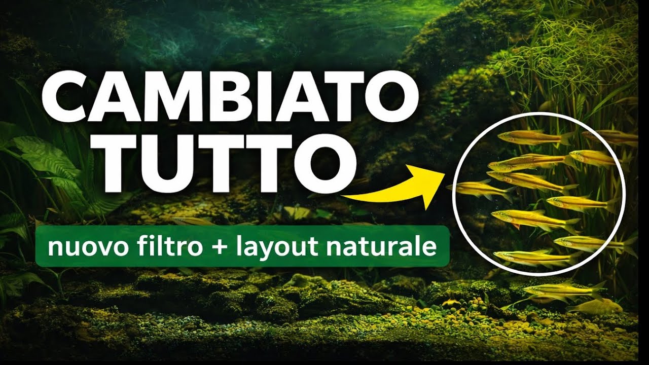 Aggiornamento Acquario Naturale 180L 🌿 | Nuovo Filtro Esterno & Grande Riorganizzazione delle Vasche