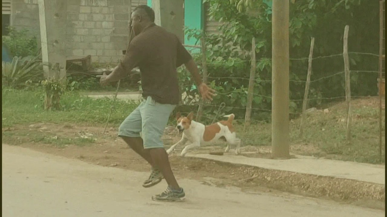 EL CORRE CORRE JULIO BOMBILLO Official Video