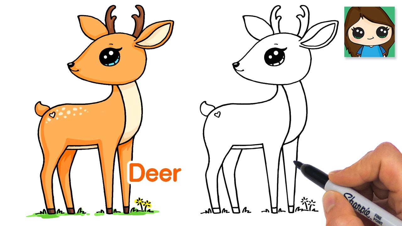 How to Draw a Deer 🦌