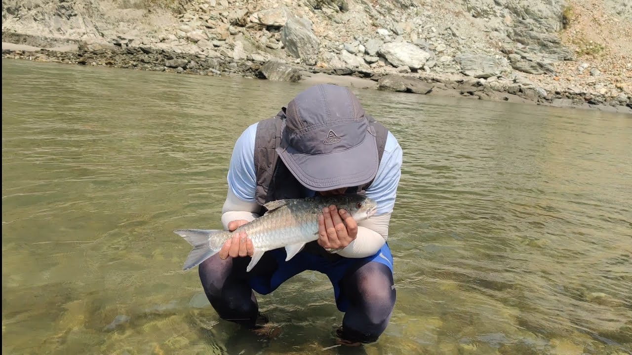 Casting after ages #fishing in Sikkim #catch n release #river #teesta #rangeet #Sikkim #India