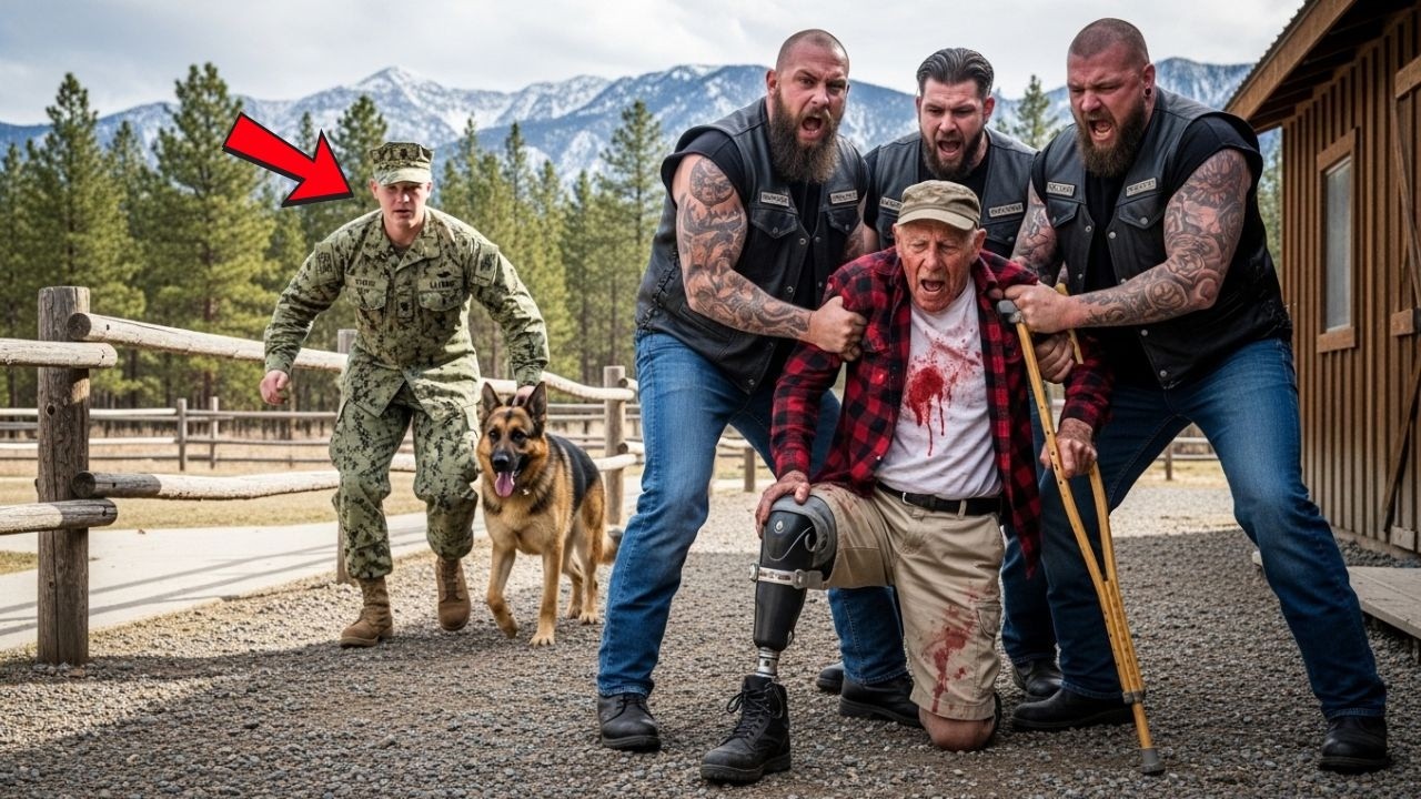 They Beat an Old Veteran at His Cabin—Then a Navy SEAL & His K9 Came Home