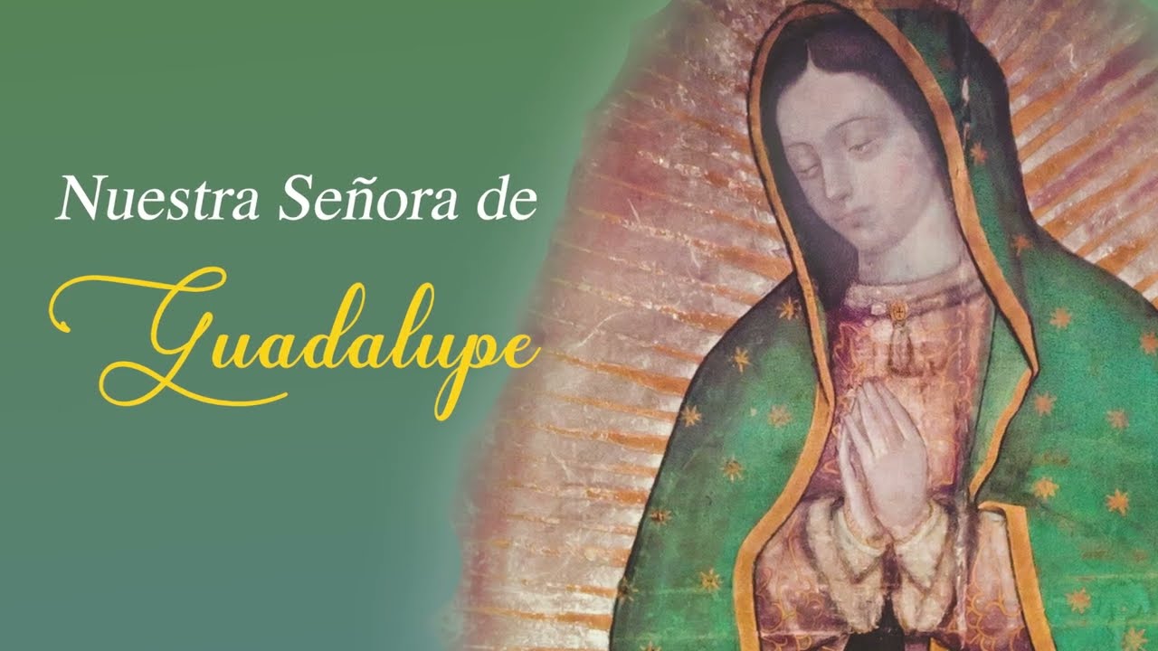 Nuestra Señora de Guadalupe #virgendeguadalupe #tfp #pliniocorreadeoliveira #ecuador