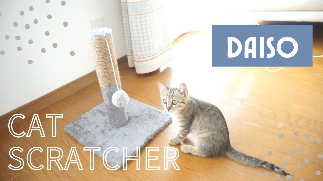 Представляем точилку для кошачьих когтей Daiso ♡ Игрушка того стоит! Настоятельно рекомендуется.ｐｐｐｐ