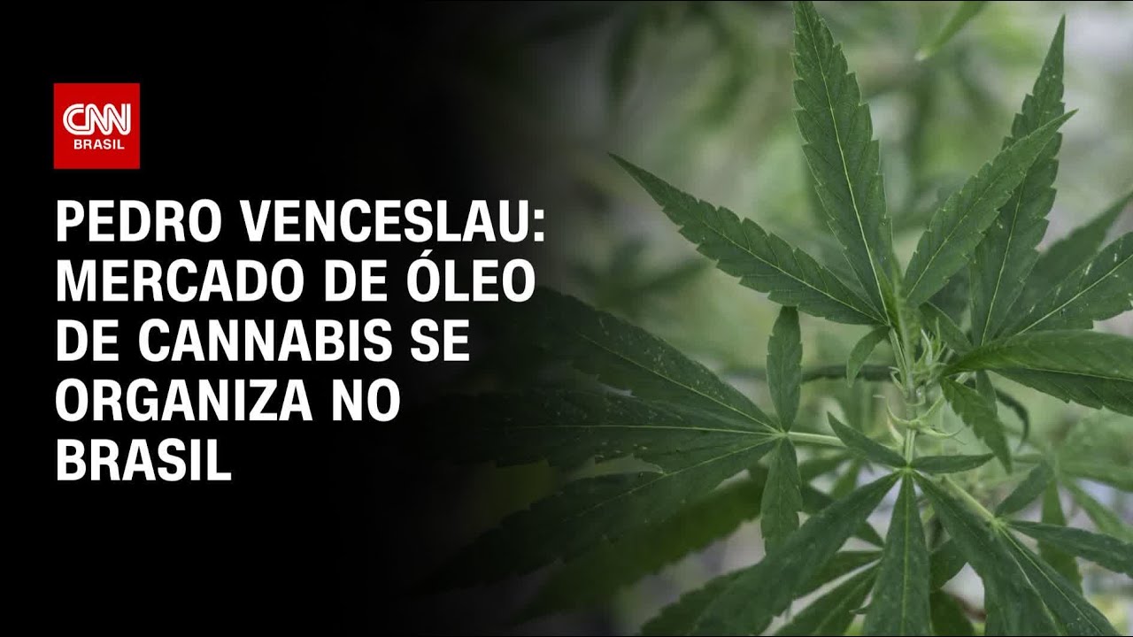 Pedro Venceslau: Mercado de óleo de cannabis se organiza no Brasil | CNN 360º