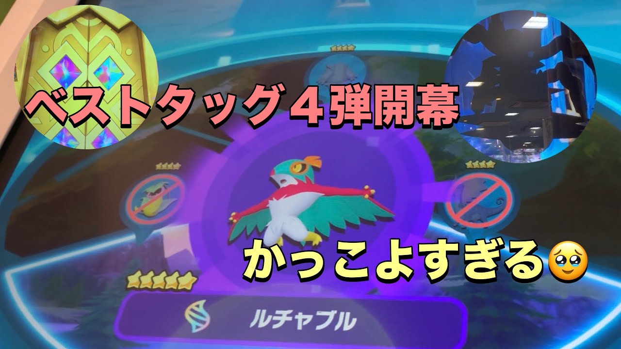 【ポケモンフレンダベストタッグ４弾】ベストタッグ４弾開始日に突撃！スーパートレジャーに大興奮😂